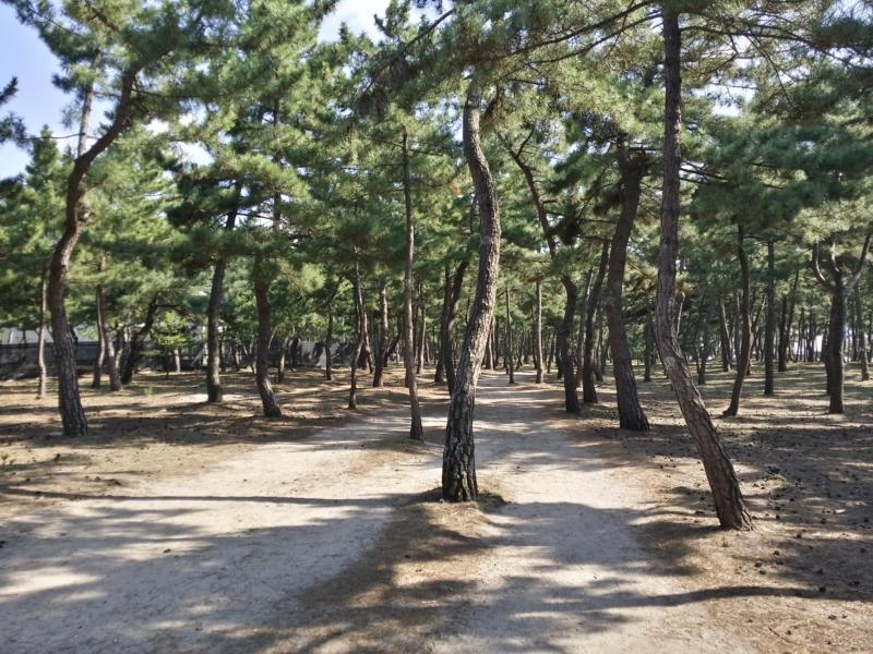 Paradaise Motel Gangneung Buitenkant foto